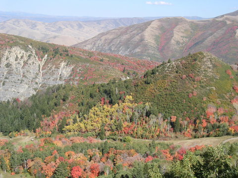 Fall At Provo Canyon