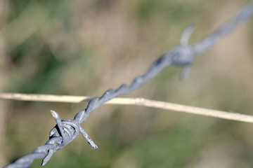 fil de fer barbelé en macro résistance guerre