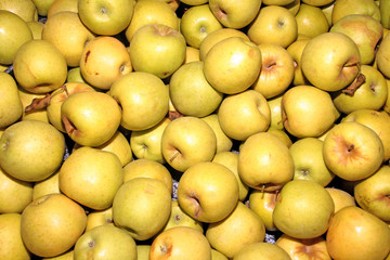 fruits and vegetables