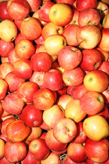 fruits and vegetables