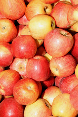 apples