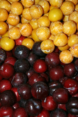 Fruits
