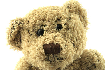 teddy