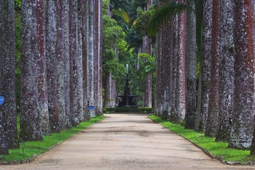 botanical garden - brazil