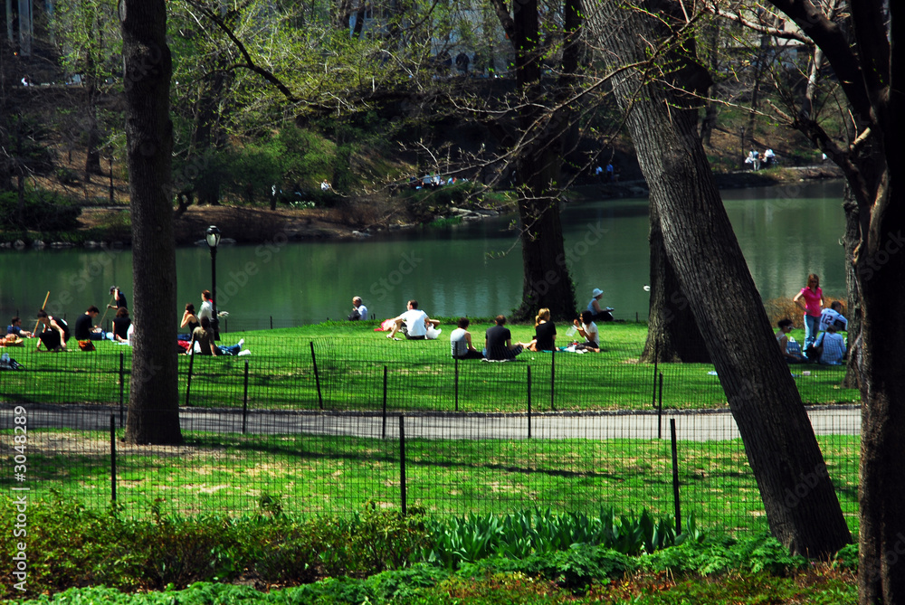 Canvas Prints central park in spring