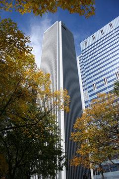 aon tower and autumn color
