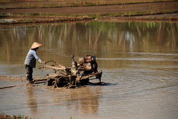 ploughing machine and paddy field