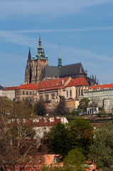 Obraz premium cathedral of st vitus, prague, czech republic