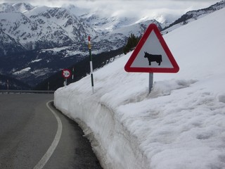 señalización en la nieve