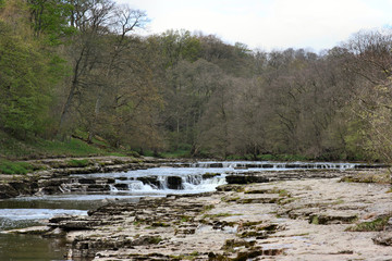 aysgarth falls