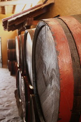 wine barrels in cellar