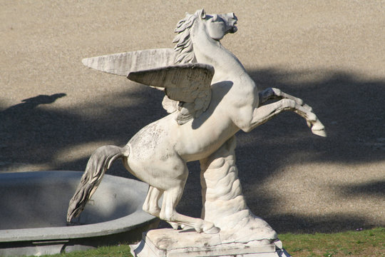 firenze - giardino di boboli