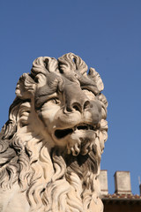 firenze - giardino di boboli