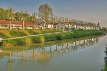 les arbres et la rivi&egrave;re