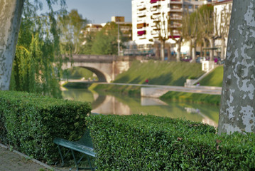 un banc dans les haies