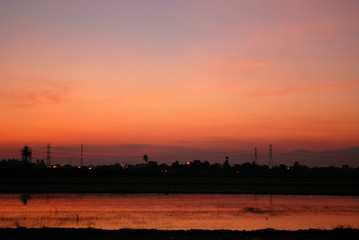 Fototapeta premium sunrise and paddy field