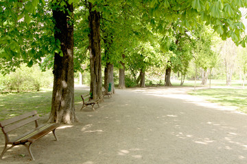 frühling im park