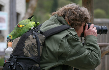 fotoassistent