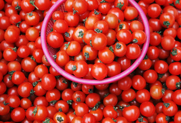 tomatoes