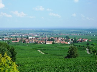 panorama südpfalz