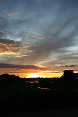 sunset over brazilian wetlands