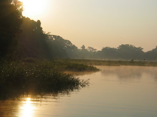 amazon river