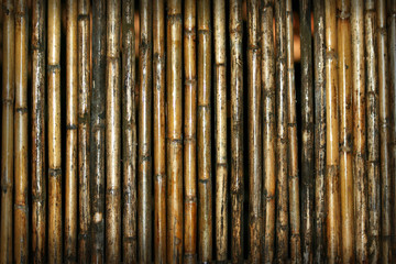 bamboo background pattern
