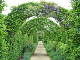 garden path under flowers arches, prieure notre dame d orsan, fr