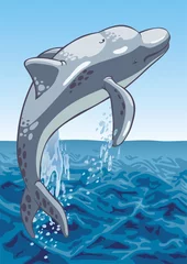 Poster dolfijn © Yuran