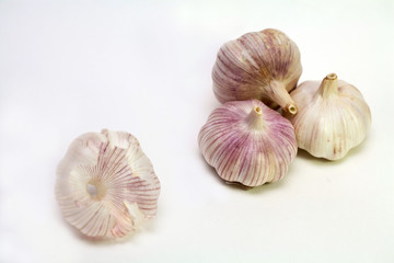 Obraz premium garlic-2