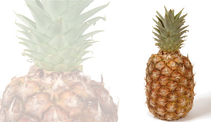 pineapple - ananas