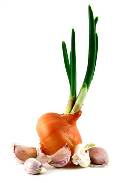 oninon and garlic