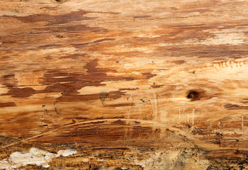 Fototapeta premium streszczenie brązowy drewno szorstka tekstura powierzchni.