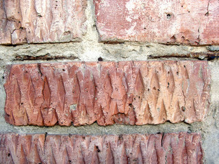 brick red enclosed in a wall