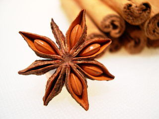 la flor de la canela