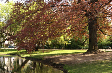frühling im park (2)