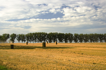 Fototapeta premium herbst