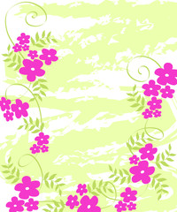 floral frame