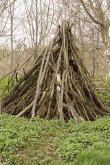 forest shelter