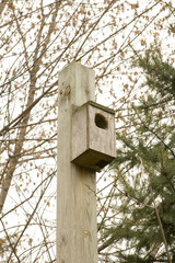 starling-house