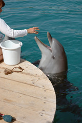 feeding