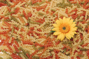 colorful pasta and daisy