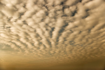 altocumulus clouds
