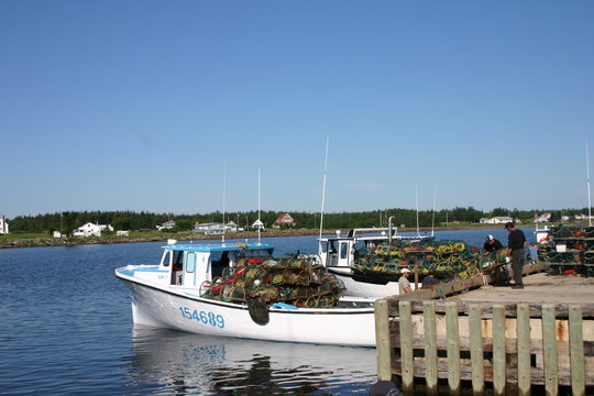 p&ecirc;che au homard
