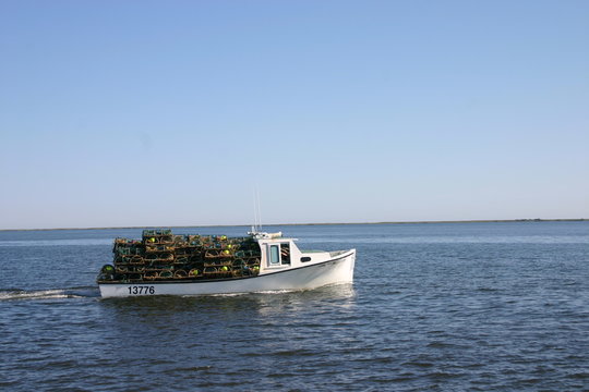 bateau de p&ecirc;che au homard
