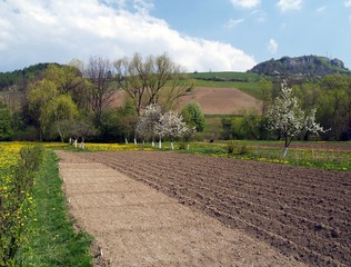 furrows in garden