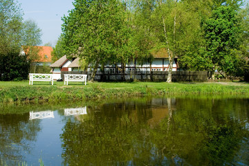 dorfteich