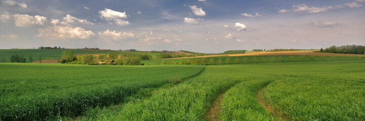 paysage de campagne