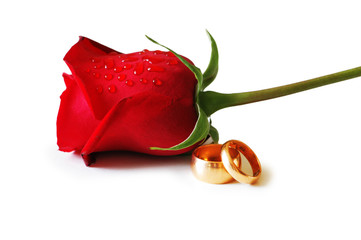 two golden wedding  rings and a red rose