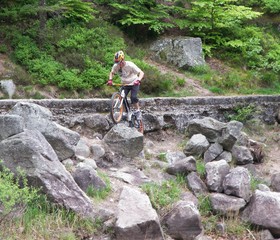 trial